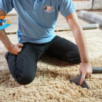 machine carpet cleaning service