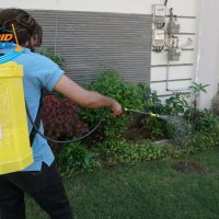 Man Doing Fumigation Services in Karachi