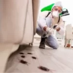 Cockroach-Control-Services